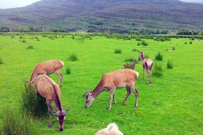 2 Days on the Loch Ness Canal of Caledonia and the Highlands - Fort William to Glencoe: outdoors capital energy, then movie-valley views