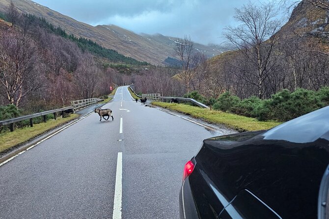 3 Day Isle of Skye Adventure from Edinburgh - Why a 3-Day Isle of Skye Adventure from Edinburgh feels efficient