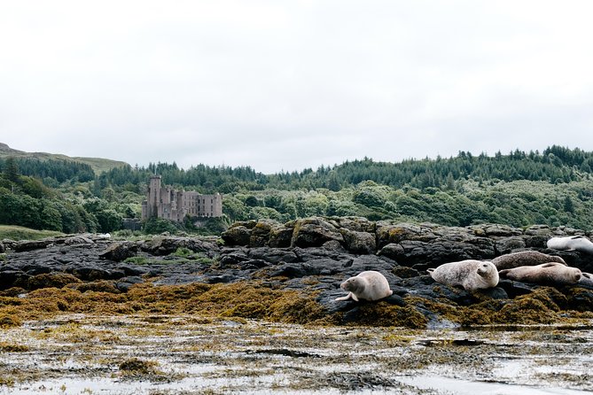 3-Day Isle of Skye, 'Hogwarts Express' Train and Highlands Tour - Day 3: Eilean Donan Castle, Dundreggan Rewilding, Loch Ness, and Dunkeld
