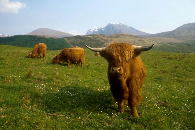3-Day Isle of Skye, 'Hogwarts Express' Train and Highlands Tour - Portree for Two Nights: How Your Base Changes the Trip