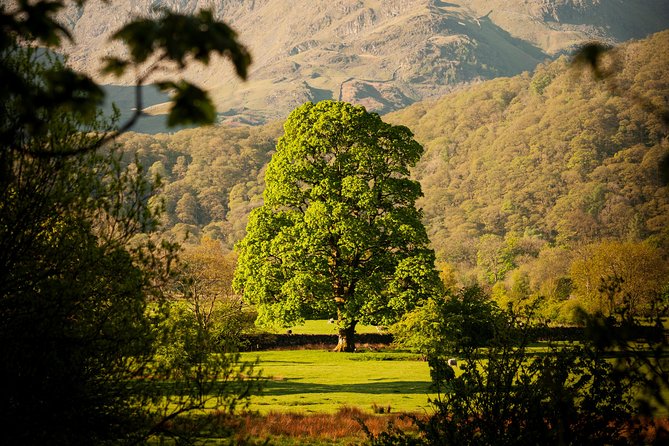 3-Day Lake District Explorer Small-Group Tour from Edinburgh - Who this tour suits best (and who should adjust expectations)