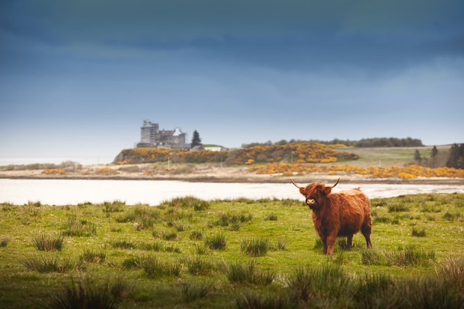 4-Day Magical Mull, Iona & West Highlands Small-Group Tour from Edinburgh - Day 4: Inveraray’s castle town, Luss on Loch Lomond, then back to Edinburgh