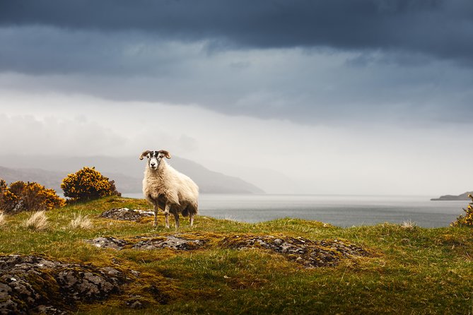 5-Day Iona, Mull and the Isle of Skye Small-Group Tour from Edinburgh - Day 1: Loch Lomond, Inveraray Castle, and an Oban seafood base