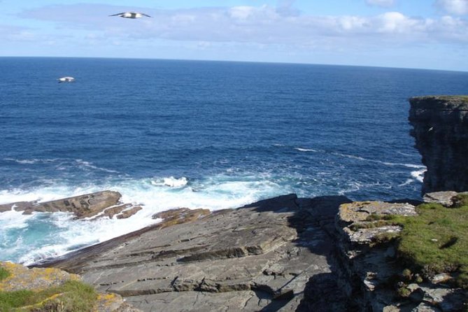 5-Day Orkney & Northern Coast Tour from Edinburgh Incl Admissions - Skara Brae, Ring of Brodgar, Maeshowe: a prehistory-heavy day that makes sense