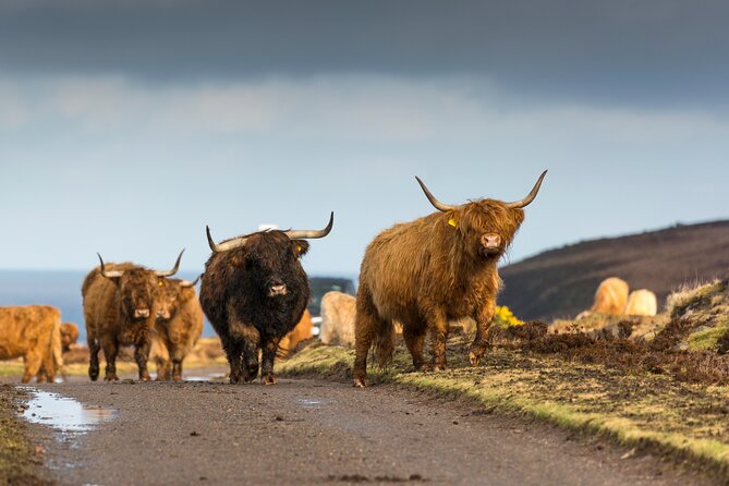 8 Day Isle of Skye, Orkney & North Coast 500 tour from Edinburgh - Why This Skye–Orkney–North Coast 500 Loop Makes Sense From Edinburgh