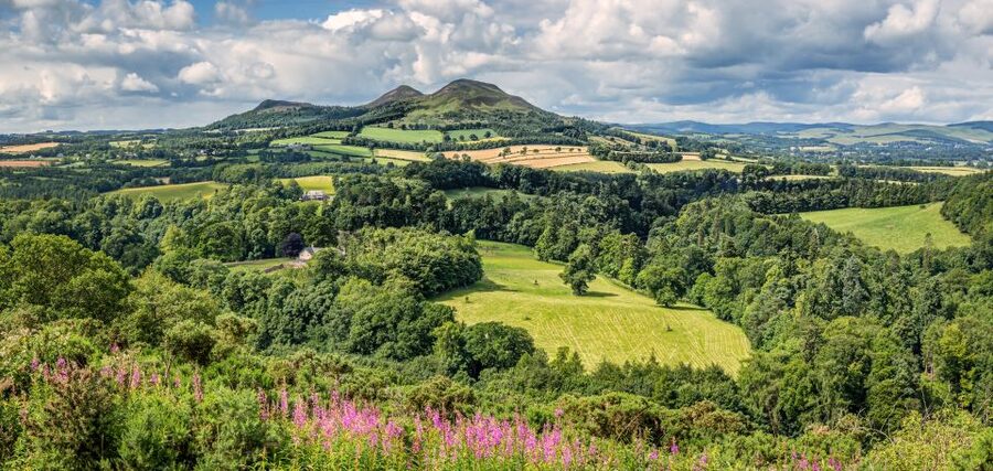 Alnwick Castle, Northumberland & Scottish Borders 1-Day Tour - Bamburgh Beach and the Viking-Coast View: Fast, Scenic, and Easy