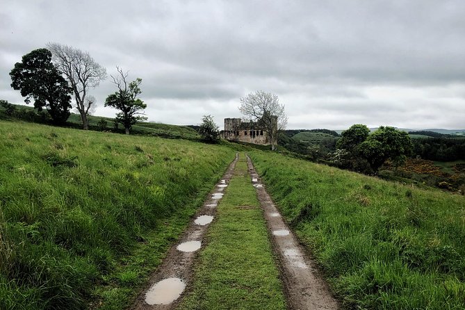 Beyond Edinburgh (Half Day Tour) - Rosslyn Chapel: Dan Brown Fame Meets Real Stone-and-Symbol Detail