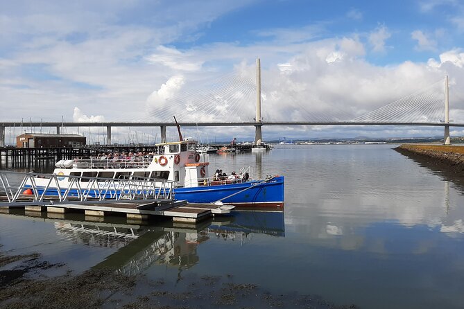Blackness Castle Cruise - Wildlife on the Firth: what you can hope to spot, and why timing helps
