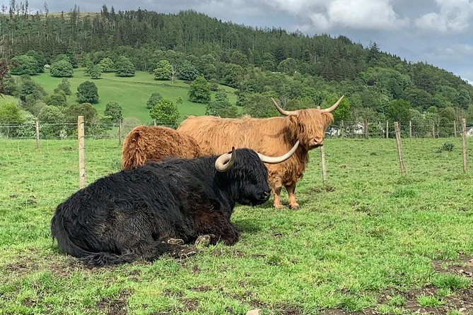 Central Highlands lochs Stirling Whisky private driving - Central Highlands in One Day: What This 8–9 Hour Route Feels Like