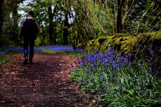 Central Scotland Driving Tour - Stirlingshire (Private) - Callander and the Highlands gateway: easy walking time and snack options