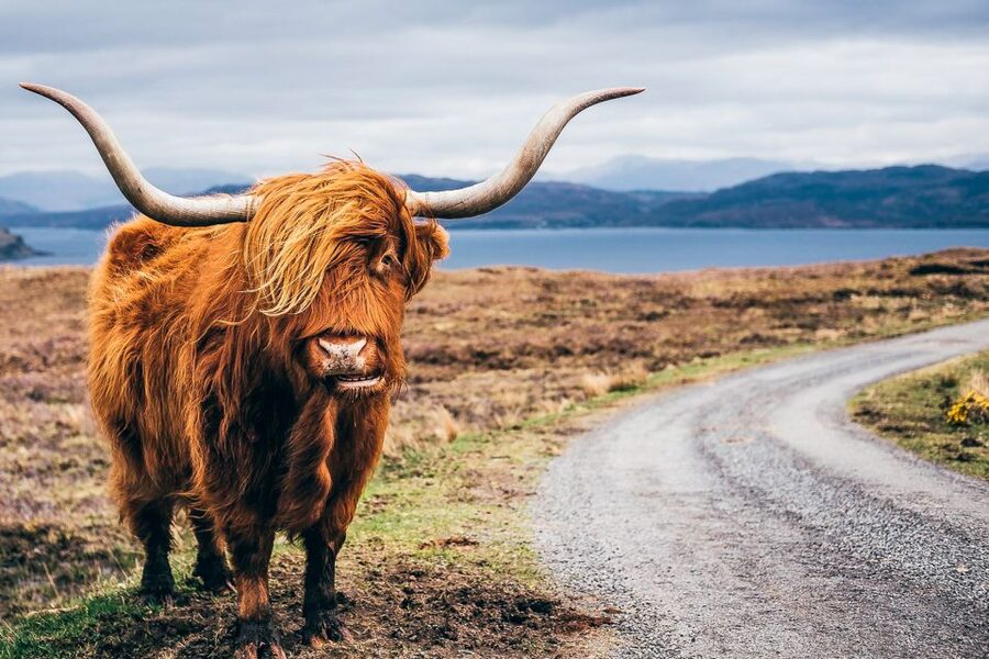 Edinburgh: 3-Day Isle of Skye, Highlands, and Loch Ness Tour - Key Highlights You’ll Feel on This 3-Day Highlands and Skye Tour