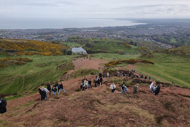 Edinburgh: Arthur's Seat Hike with Local Guide - Wildlife and plant spotting you’ll miss on your own