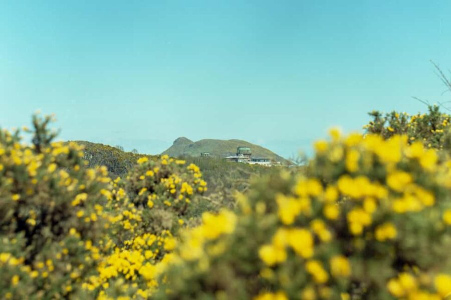 Edinburgh: Arthur's Seat Sunrise Hike with Mountain Guide - Timing and duration: how two hours can feel like a mini escape