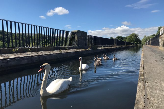 Edinburgh City Bike Tour - Choice of E-Bike or Manual - Bikes, Safety, and the Small Extras That Matter