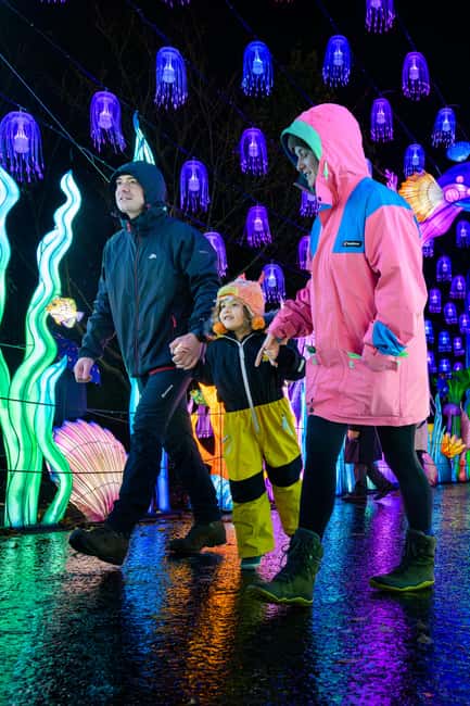 Edinburgh: Edinburgh Zoo Giant Lanterns Entry Tickets - Picking your session: quiet nights and adult-only calm