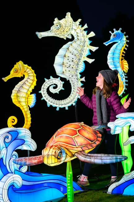 Edinburgh: Edinburgh Zoo Giant Lanterns Entry Tickets - Timing: 1-day ticket use and choosing a starting time