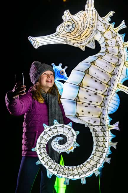 Edinburgh: Edinburgh Zoo Giant Lanterns Entry Tickets - The animals you can still catch after dark