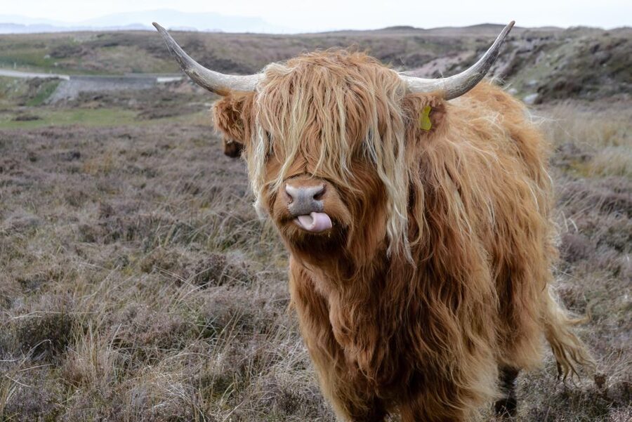 Edinburgh: Hill & Nature Hike With a Local - Key Things I’d Put on Your Radar