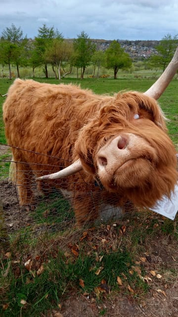 Edinburgh: Hill & Nature Hike With a Local - Learning on the Trail: Flora, Fauna, Celtic History, and Geology