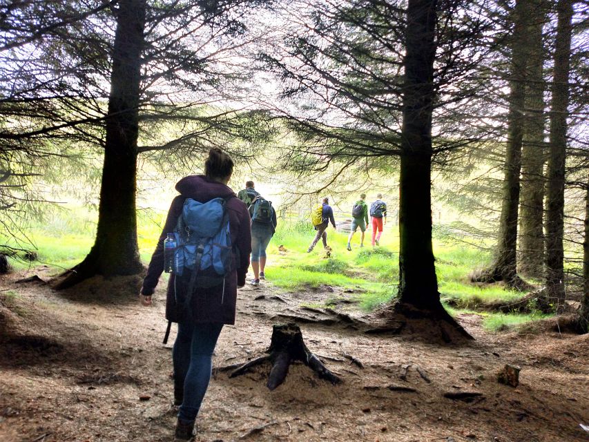 Edinburgh: Hill & Nature Hike With a Local - Weather Reality: This Hike Runs, So Dress for the Hill