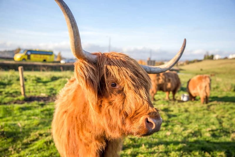 Edinburgh: Isle of Skye, Inverness, and Highlands 3-Day Tour - Pitlochry: A Quieter Final Stretch With Classic Town Charm