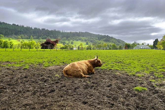 Edinburgh: Loch Ness, Glencoe & The Highlands - Fort Augustus and Loch Ness: wandering time plus an optional cruise