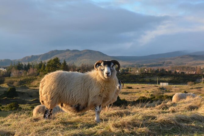 Edinburgh: Loch Ness, Inverness & The Highlands - 2 Day Tour - Key Things I’d Watch For Before You Go