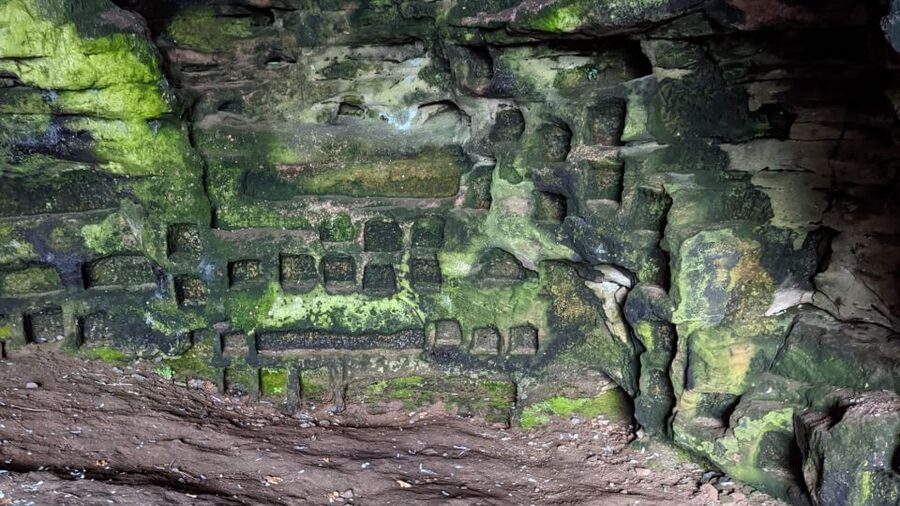 Edinburgh: St Andrews, Dunfermline Abbey and Fife Coast Tour - Lunch and money: is $108 a good deal for what you get?