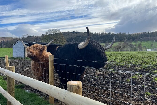 Edinburgh: The Kelpies, Stirling Castle, Loch Lomond & Trossachs - Luss on Loch Lomond: a village break with hairy coos