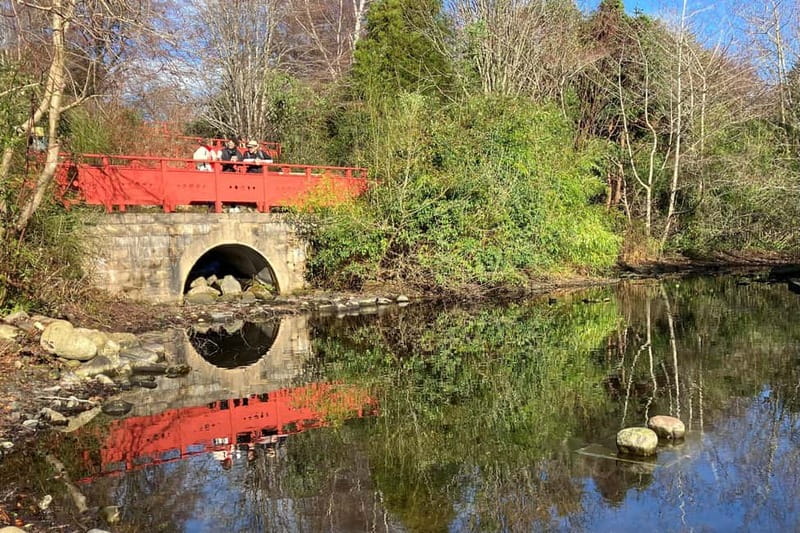 Edinburgh: Walk Dean Village, New Town & Royal Botanics - Photo stop moments: where the best angles happen