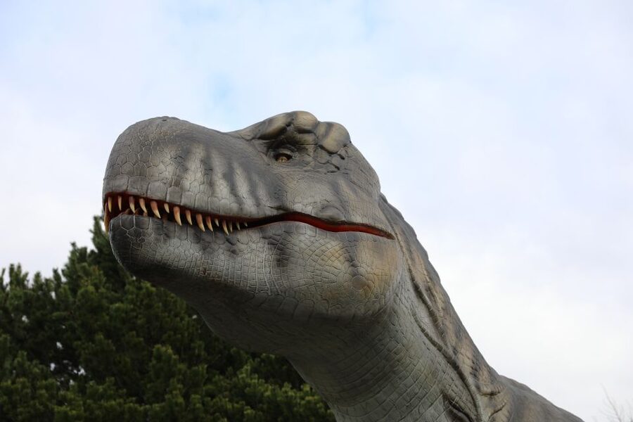 Edinburgh Zoo Entrance Ticket - Dino exhibition and Family Trail: included, so use them