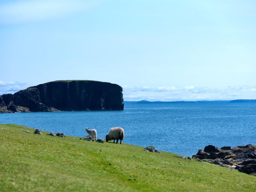 From Edinburgh: 6-Day Shetland & Nothernmost Explorer - Key things I’d bet on before you book