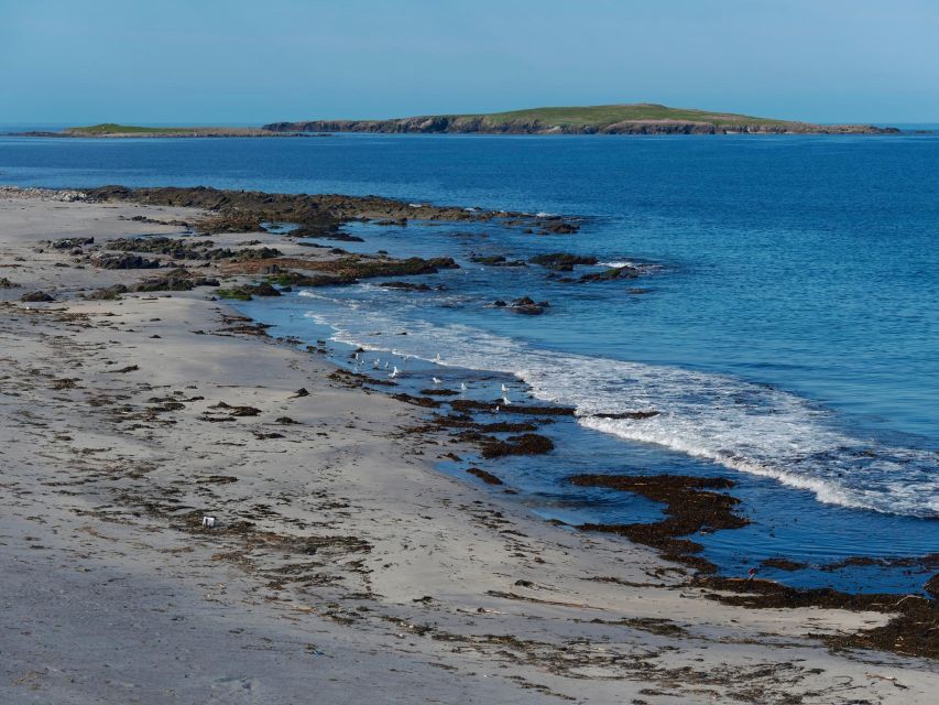 From Edinburgh: 6-Day Shetland & Nothernmost Explorer - Minn Beach and Kettla Ness: ponies you can meet and wildlife you can’t ignore