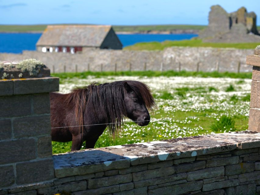 From Edinburgh: 6-Day Shetland & Nothernmost Explorer - Dunnottar Castle and St Andrews: the grand finale after the North Sea