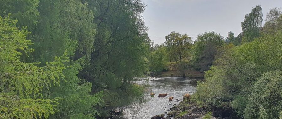 From Edinburgh: a Private Tour to a Majestic Highland Glen - A private Highland day that mixes famous stops with quieter roads