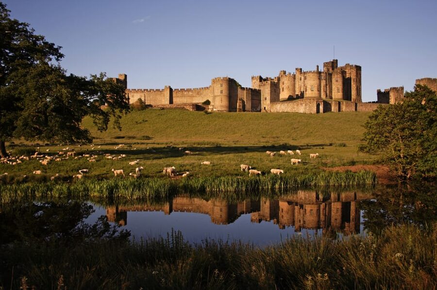 From Edinburgh: Holy Island, Alnwick Castle & Northumbria - Lindisfarne Priory: Ruins That Explain Why the Island Mattered
