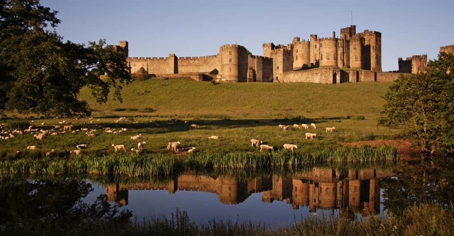 From Edinburgh: Holy Island, Alnwick Castle & Northumbria - Lindisfarne Mead Tasting: A Small Pour With Big Cultural Flavor
