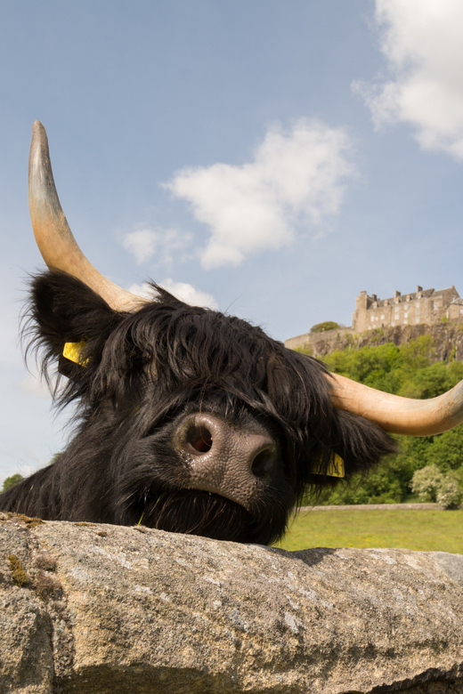 From Edinburgh: Loch Lomond, Stirling Castle & Kelpies Tour - The day-trip formula that actually works from Edinburgh