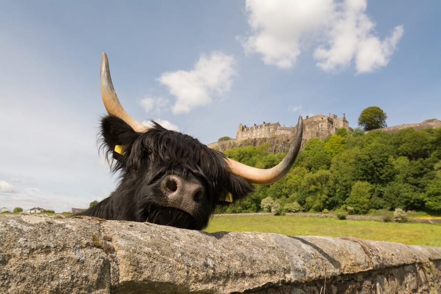 From Edinburgh: Loch Lomond, Stirling Castle & Kelpies Tour - Value check: what $61 gets you and what to budget for the extras