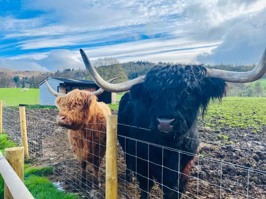 From Edinburgh: Loch Ness, Glencoe & The Highlands Day Trip - Linlithgow Palace, the Kelpies, and Stirling Castle: history starts before Glencoe