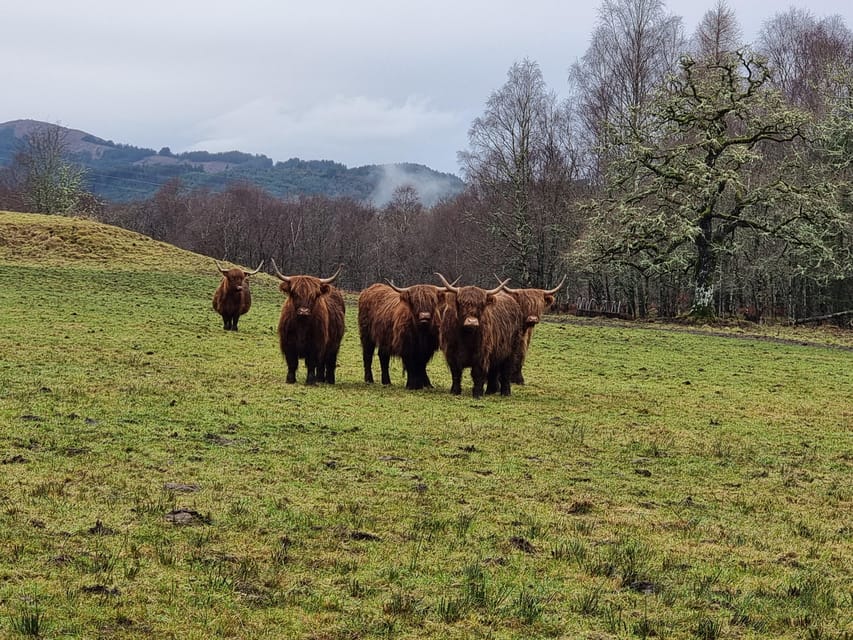 From Edinburgh: Loch Ness Private Day Tour with Transfers - A Private Van Day From Edinburgh to Loch Ness