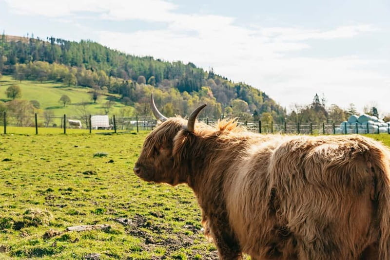 From Edinburgh: Loch Ness & Scottish Highlands Tour - Fort William and Ben Nevis area: seeing the mountain without climbing it