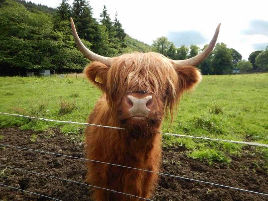 From Edinburgh: Scottish Highlands & Isle of Skye 5-Day Tour - Day 5: Culloden (optional), Cairngorm Mountains pass, Pitlochry, back to Edinburgh