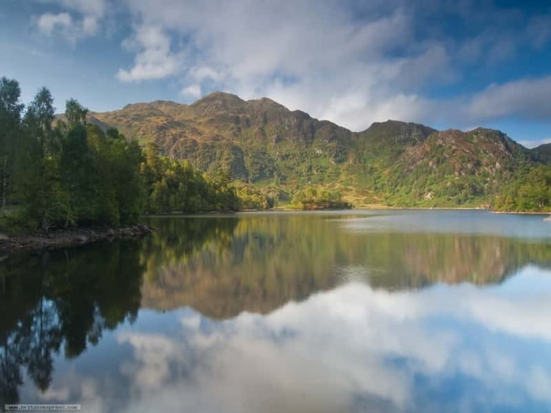 From Edinburgh: Stirling Castle, Kelpies and Loch Lomond - Highland cows time: planning for Hairy Coos season