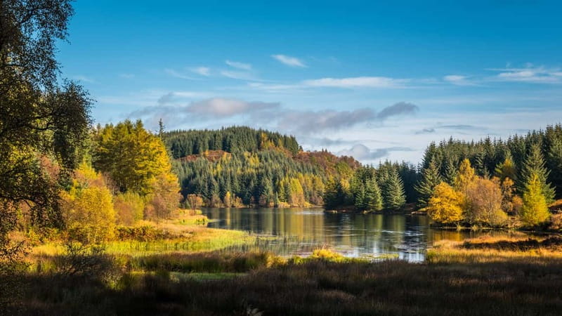 From Edinburgh: Stirling Castle, Kelpies and Loch Lomond - A River Forth viewpoint stop with the famous three bridges