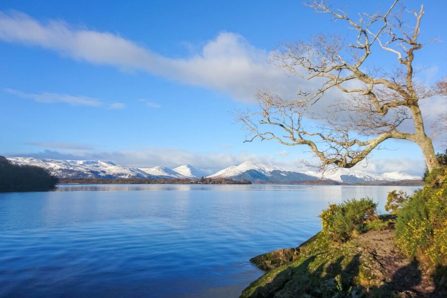 From Edinburgh: Stirling Castle, Loch Lomond & Whisky Tour - Price and value: what $75 buys, and what you’ll likely add