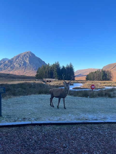 From Edinburgh: The Kelpies, Glencoe & Loch Lomond Day Tour - A private Highlands day from Edinburgh, without the big-bus grind