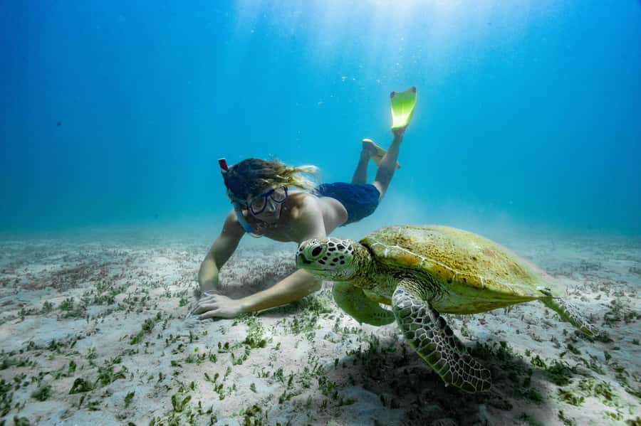 From Rosslyn: Great Keppel Island Adventure Tour with Lunch - The 7-Hour Schedule That Actually Works (Ferries, Meals, and Water Time)