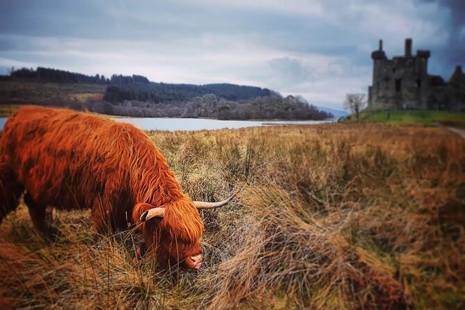 Full Day Private Tour in West Highlands, Oban and Glencoe - How the Pickup and Start Time Shape Your Whole Day