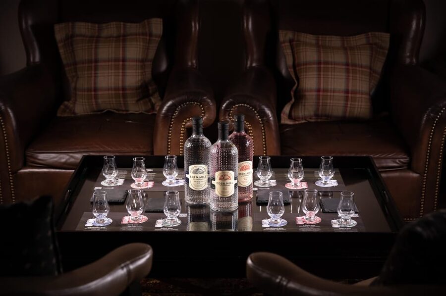 Gin Tasting Experience with a Perfect Serve - Creating Your Perfect Serve: Tailored to Your Favorite Gin
